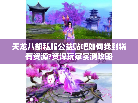 天龙八部私服公益贴吧如何找到稀有资源?资深玩家实测攻略