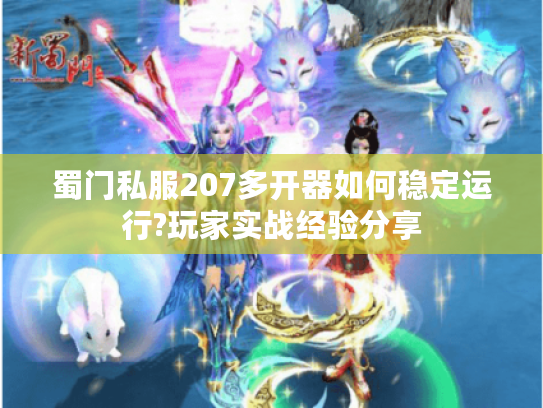 蜀门私服207多开器如何稳定运行?玩家实战经验分享