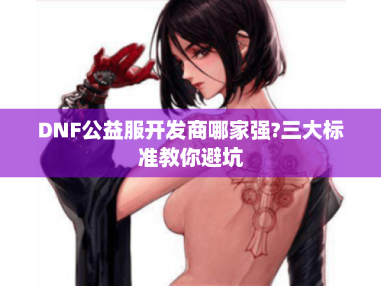 DNF公益服开发商哪家强?三大标准教你避坑