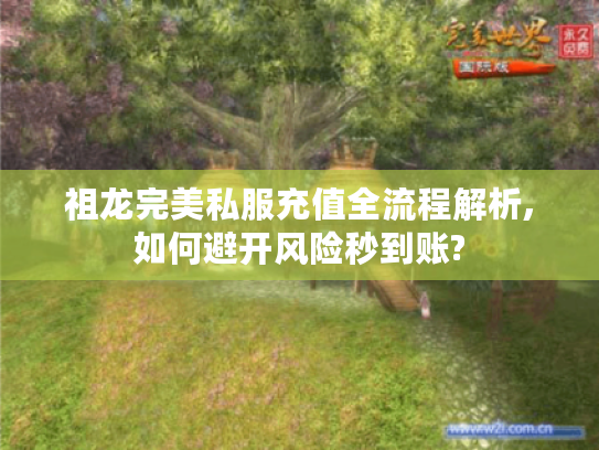 祖龙完美私服充值全流程解析,如何避开风险秒到账?