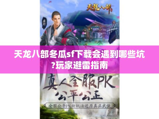 天龙八部冬瓜sf下载会遇到哪些坑?玩家避雷指南