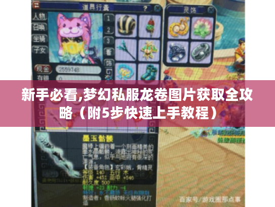 新手必看,梦幻私服龙卷图片获取全攻略（附5步快速上手教程）