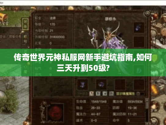 传奇世界元神私服网新手避坑指南,如何三天升到50级?