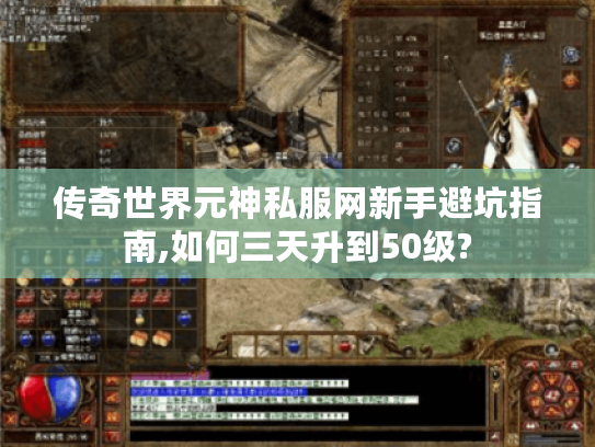 传奇世界元神私服网新手避坑指南,如何三天升到50级?