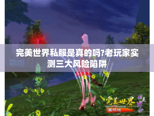 完美世界私服是真的吗?老玩家实测三大风险陷阱