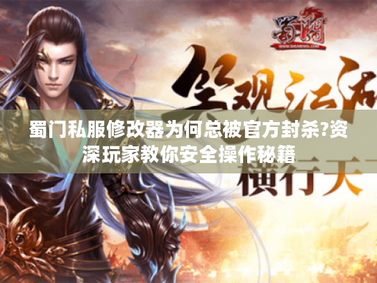 蜀门私服修改器为何总被官方封杀?资深玩家教你安全操作秘籍