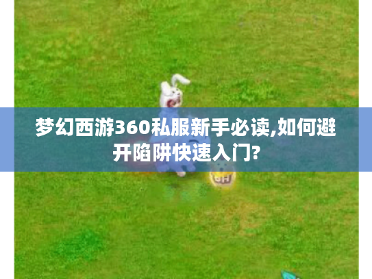 梦幻西游360私服新手必读,如何避开陷阱快速入门?