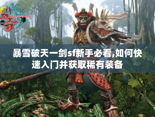 暴雪破天一剑sf新手必看,如何快速入门并获取稀有装备