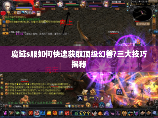 魔域s服如何快速获取顶级幻兽?三大技巧揭秘