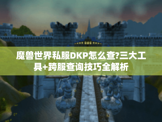魔兽世界私服DKP怎么查?三大工具+跨服查询技巧全解析