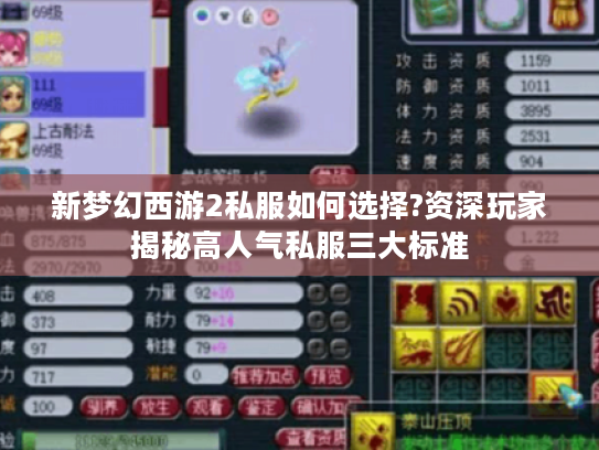 新梦幻西游2私服如何选择?资深玩家揭秘高人气私服三大标准
