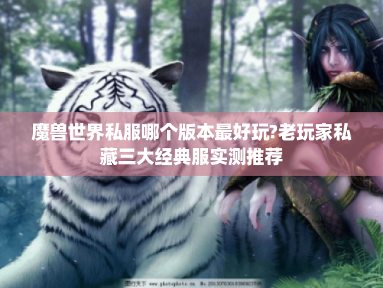 魔兽世界私服哪个版本最好玩?老玩家私藏三大经典服实测推荐