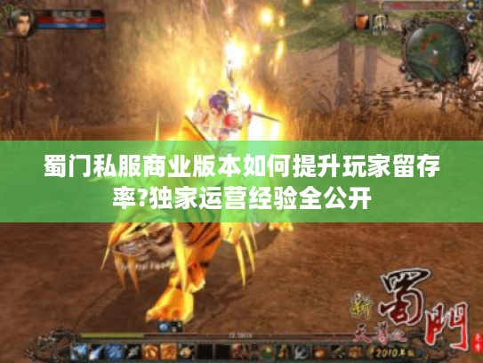 蜀门私服商业版本如何提升玩家留存率?独家运营经验全公开