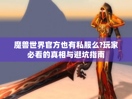 魔兽世界官方也有私服么?玩家必看的真相与避坑指南