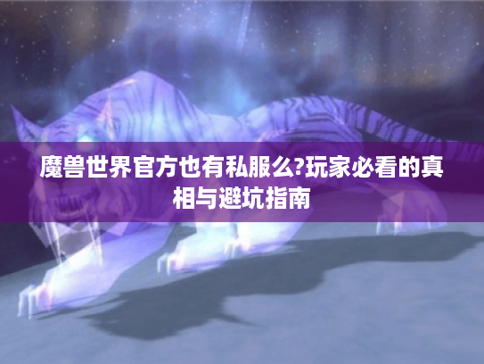 魔兽世界官方也有私服么?玩家必看的真相与避坑指南