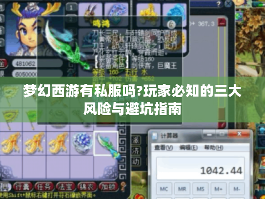 梦幻西游有私服吗?玩家必知的三大风险与避坑指南