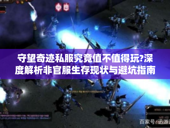 守望奇迹私服究竟值不值得玩?深度解析非官服生存现状与避坑指南