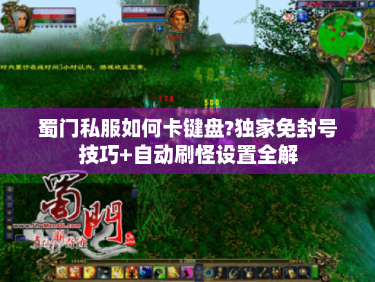 蜀门私服如何卡键盘?独家免封号技巧+自动刷怪设置全解