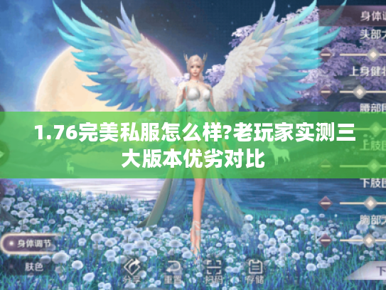 1.76完美私服怎么样?老玩家实测三大版本优劣对比