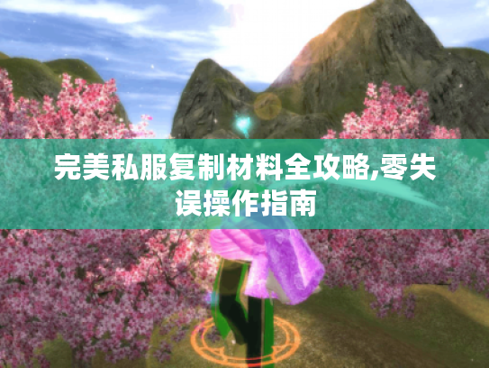 完美私服复制材料全攻略,零失误操作指南