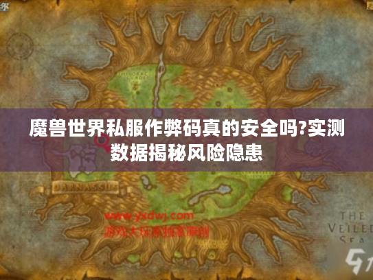 魔兽世界私服作弊码真的安全吗?实测数据揭秘风险隐患