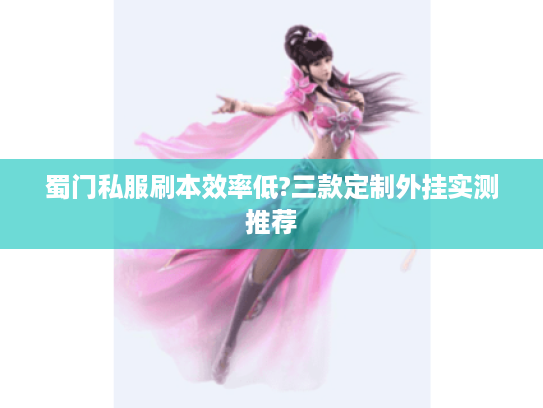 蜀门私服刷本效率低?三款定制外挂实测推荐