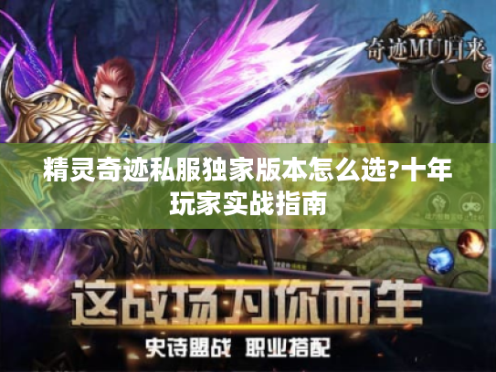 精灵奇迹私服独家版本怎么选?十年玩家实战指南