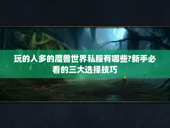 玩的人多的魔兽世界私服有哪些?新手必看的三大选择技巧