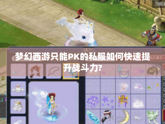 梦幻西游只能PK的私服如何快速提升战斗力?