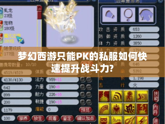 梦幻西游只能PK的私服如何快速提升战斗力?