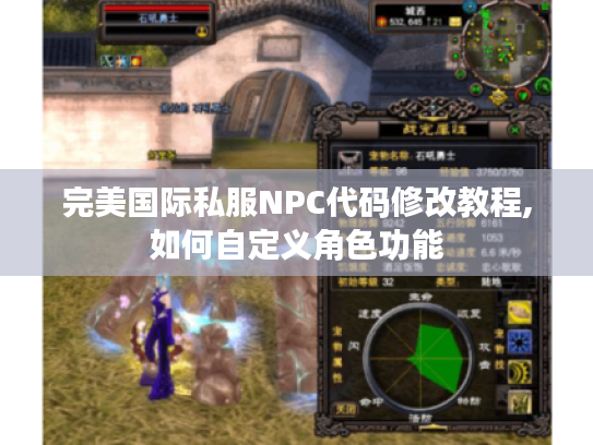 完美国际私服NPC代码修改教程,如何自定义角色功能