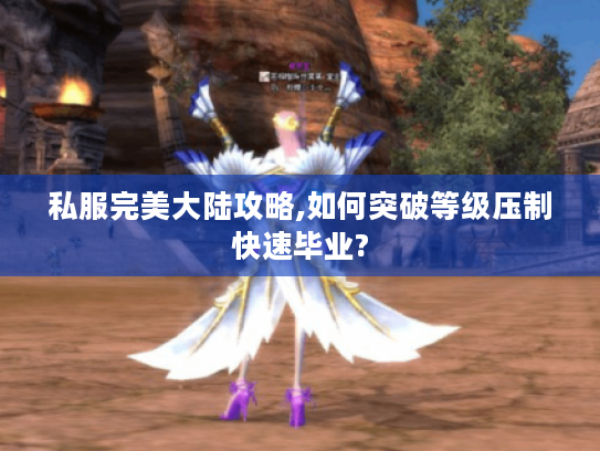 私服完美大陆攻略,如何突破等级压制快速毕业?