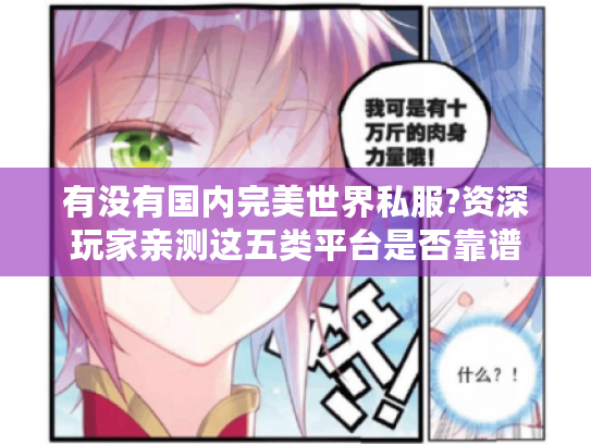 有没有国内完美世界私服?资深玩家亲测这五类平台是否靠谱