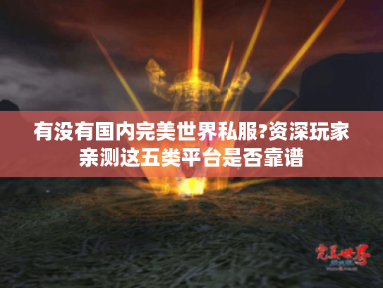 有没有国内完美世界私服?资深玩家亲测这五类平台是否靠谱