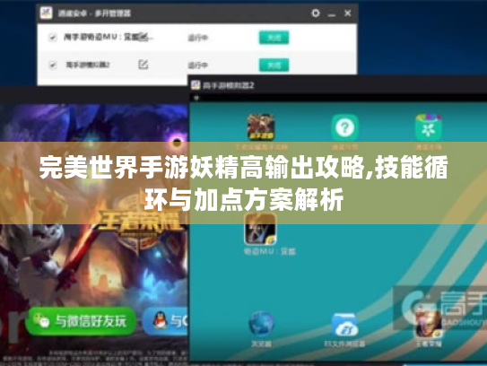 完美世界手游妖精高输出攻略,技能循环与加点方案解析