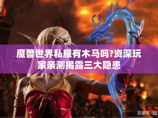 魔兽世界私服有木马吗?资深玩家亲测揭露三大隐患