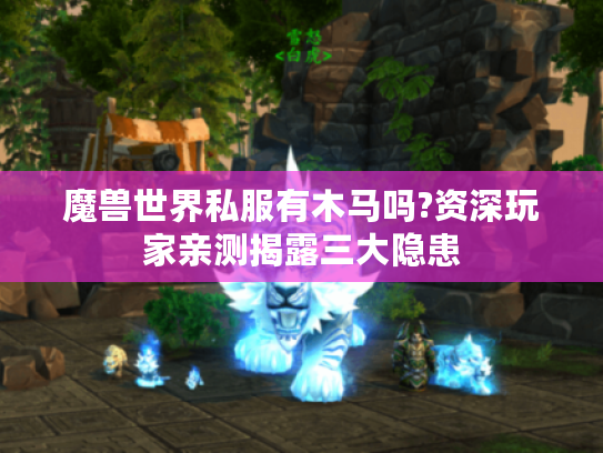魔兽世界私服有木马吗?资深玩家亲测揭露三大隐患