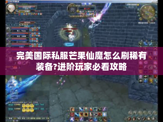 完美国际私服芒果仙魔怎么刷稀有装备?进阶玩家必看攻略