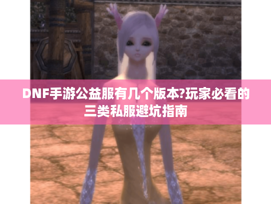 DNF手游公益服有几个版本?玩家必看的三类私服避坑指南