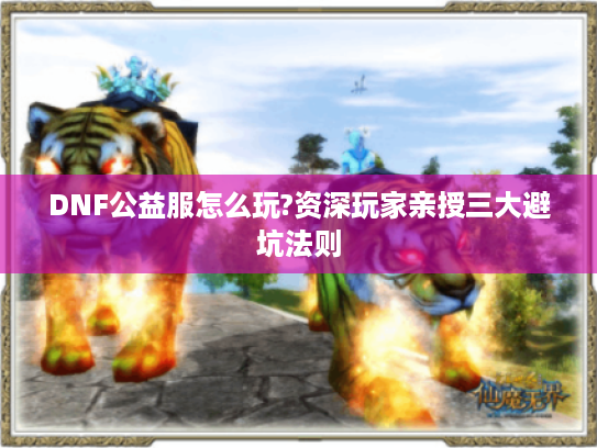 DNF公益服怎么玩?资深玩家亲授三大避坑法则