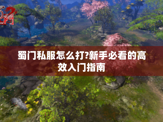 蜀门私服怎么打?新手必看的高效入门指南