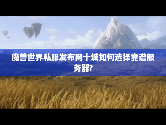 魔兽世界私服发布网十城如何选择靠谱服务器?