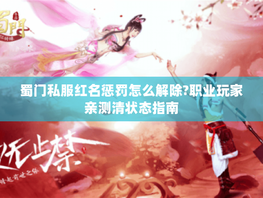 蜀门私服红名惩罚怎么解除?职业玩家亲测清状态指南