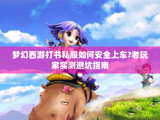 梦幻西游打书私服如何安全上车?老玩家实测避坑指南