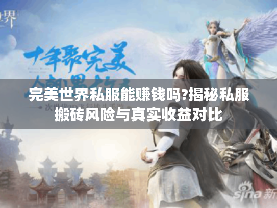 完美世界私服能赚钱吗?揭秘私服搬砖风险与真实收益对比