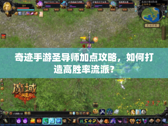 奇迹手游圣导师加点攻略，如何打造高胜率流派？