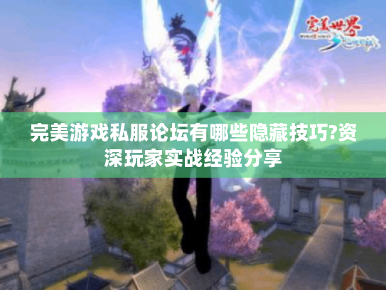 完美游戏私服论坛有哪些隐藏技巧?资深玩家实战经验分享