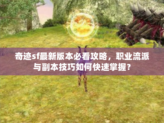 奇迹sf最新版本必看攻略，职业流派与副本技巧如何快速掌握？