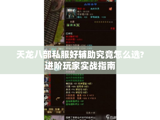 天龙八部私服好辅助究竟怎么选?进阶玩家实战指南