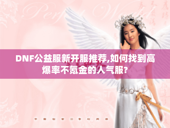 DNF公益服新开服推荐,如何找到高爆率不氪金的人气服?